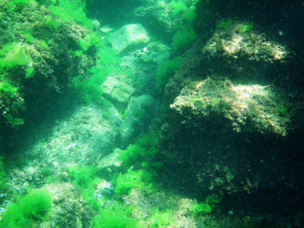 P1010088.jpg