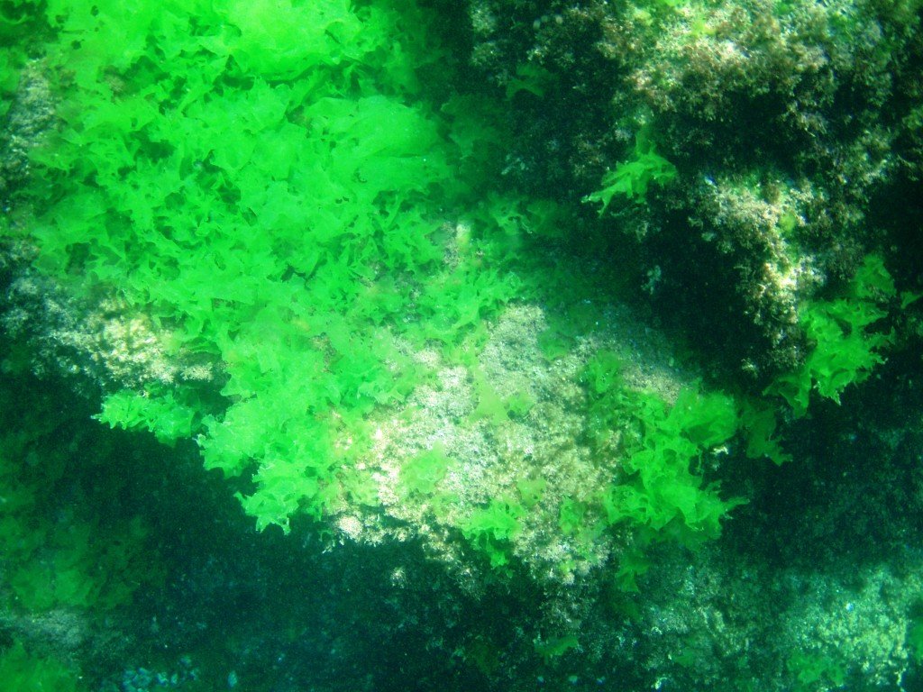 P1010093.jpg