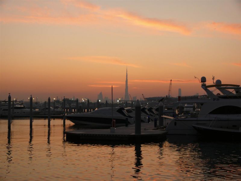 P1040897 (Large).jpg