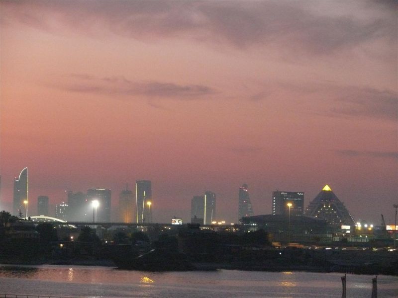 P1040904 (Large).jpg