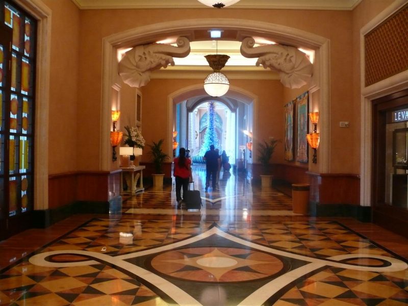 P1040965 (Large).jpg