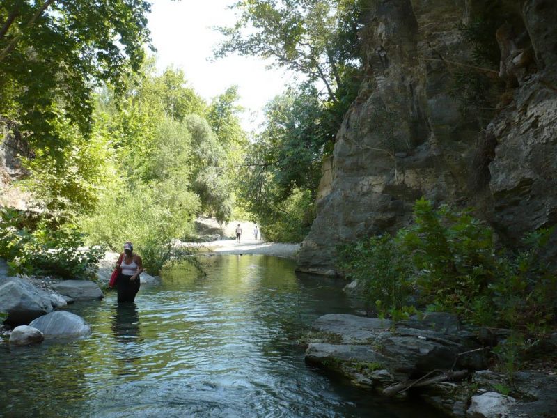 P1060170 [Desktop Resolution].jpg