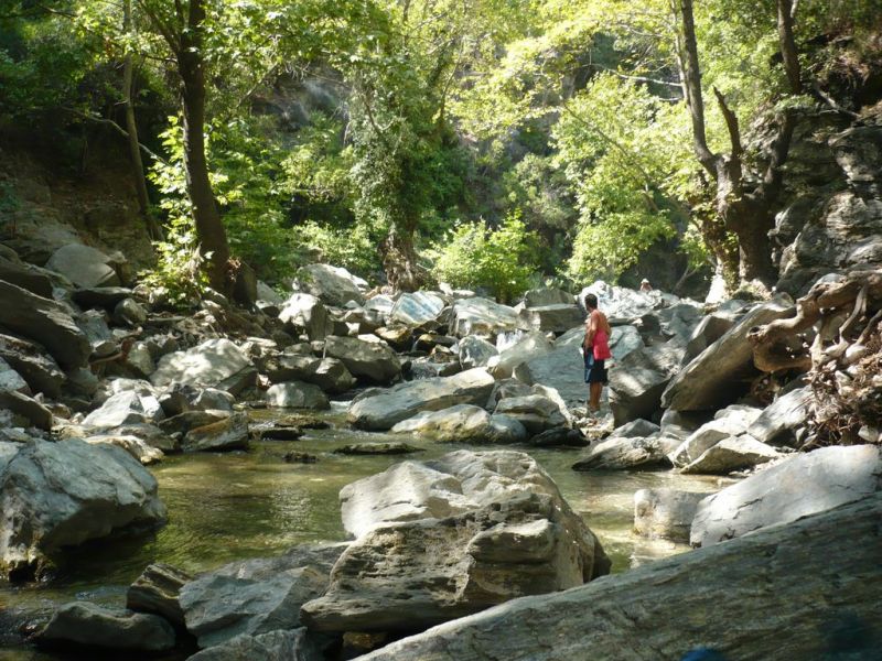 P1060188 [Desktop Resolution].jpg