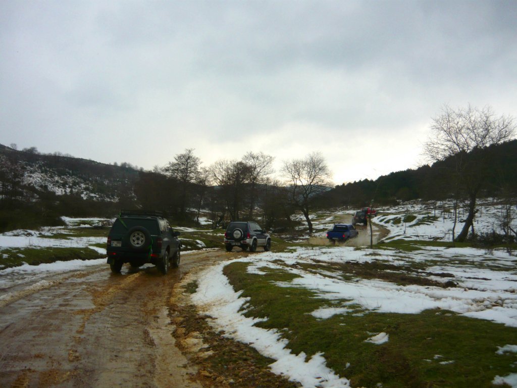 P1060318.JPG