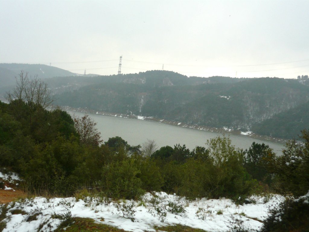 P1060339.JPG