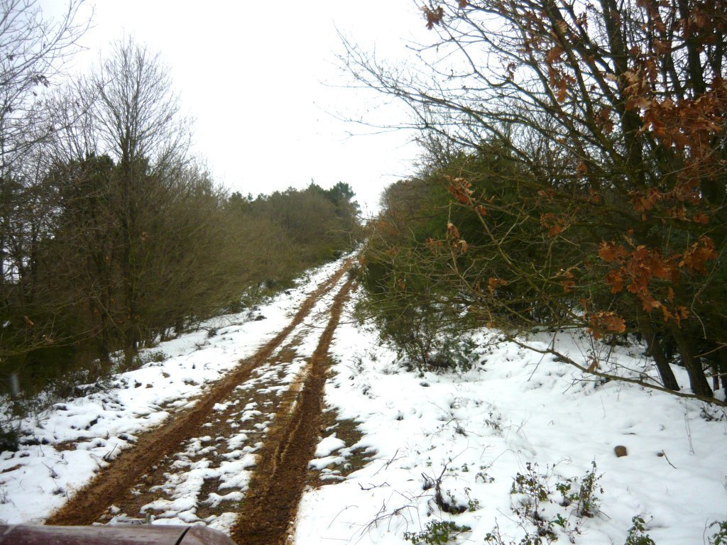 P1060375.JPG