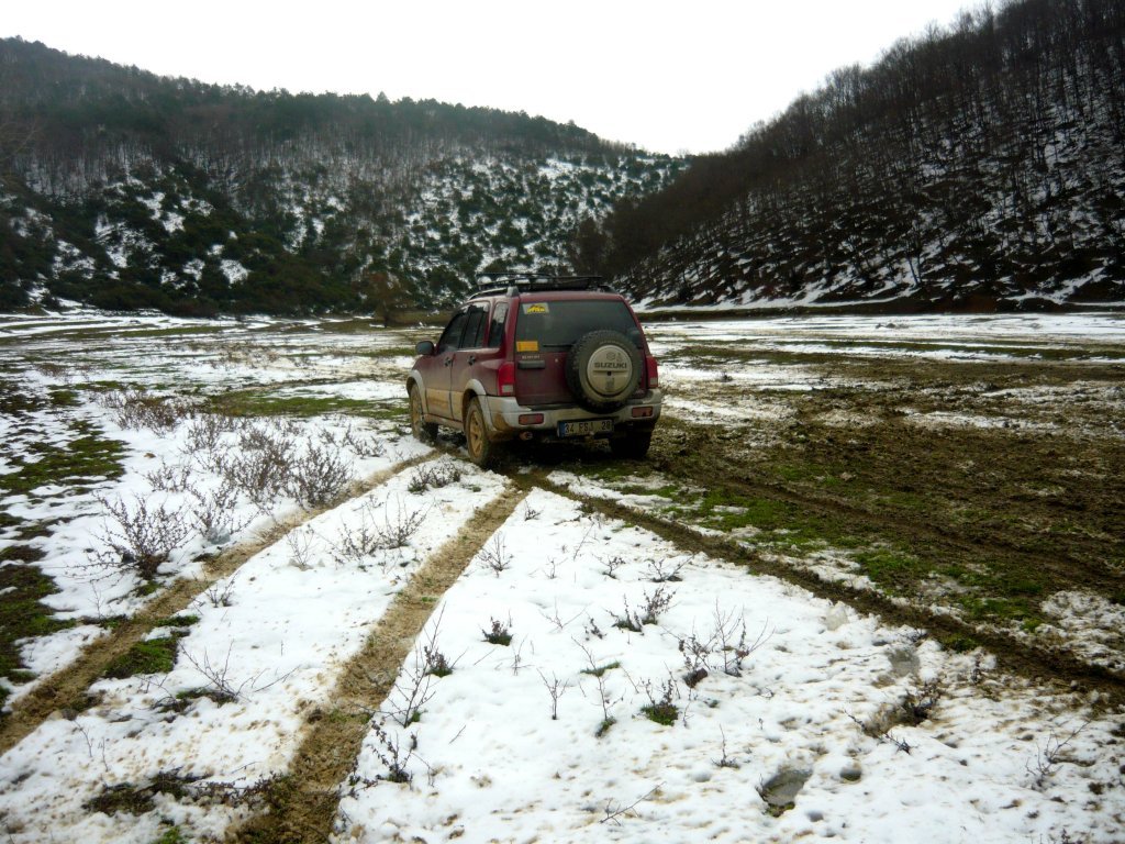 P1060450.JPG