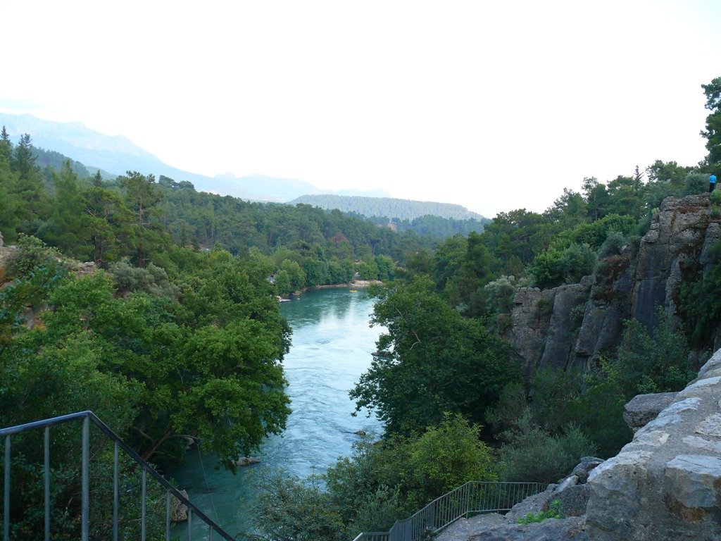 P1060909.JPG