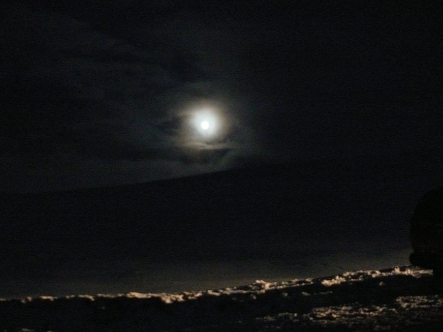 P1110571_r.JPG