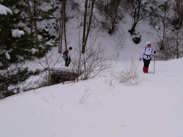 P1140761.jpg