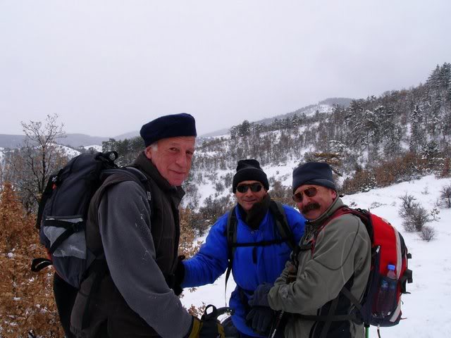 P1140786.jpg