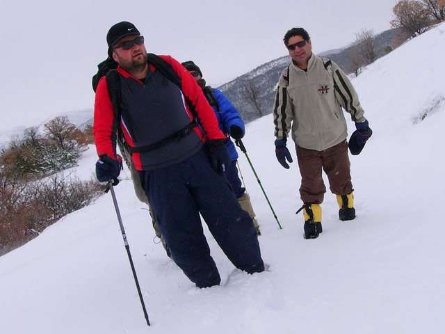 P1140788.jpg