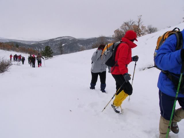 P1140789.jpg