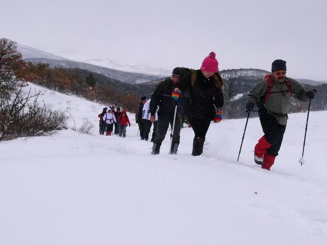 P1140791.jpg