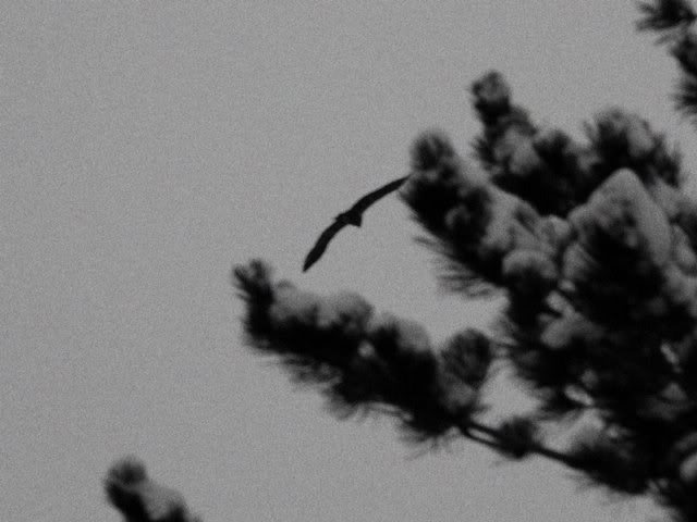 P1140792.jpg