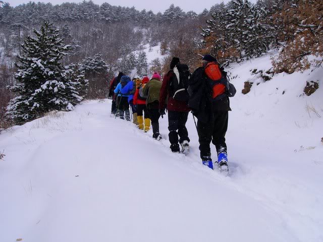 P1140797.jpg