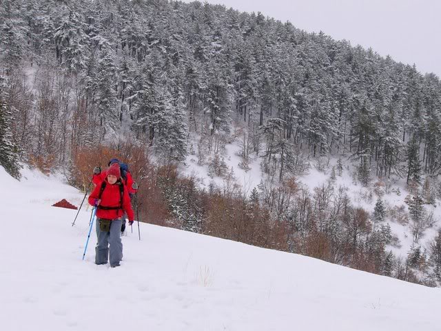 P1140817.jpg