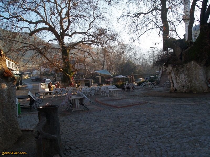 P1244742.jpg