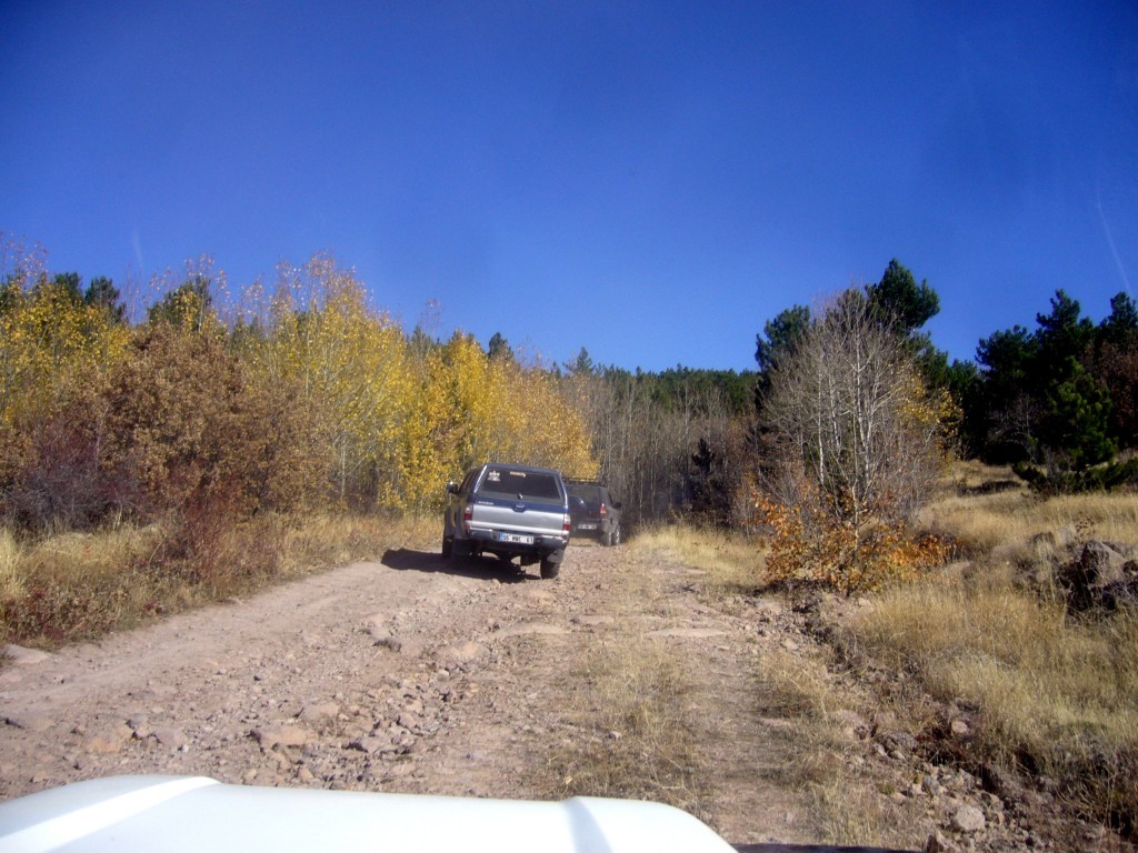 P1250197.jpg