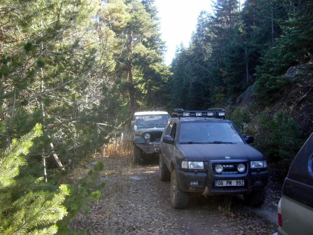 P1250286.JPG