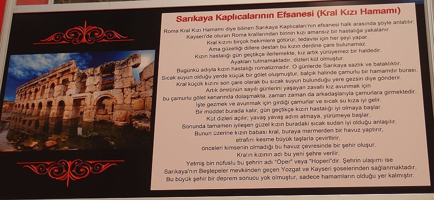 P1277186.jpg