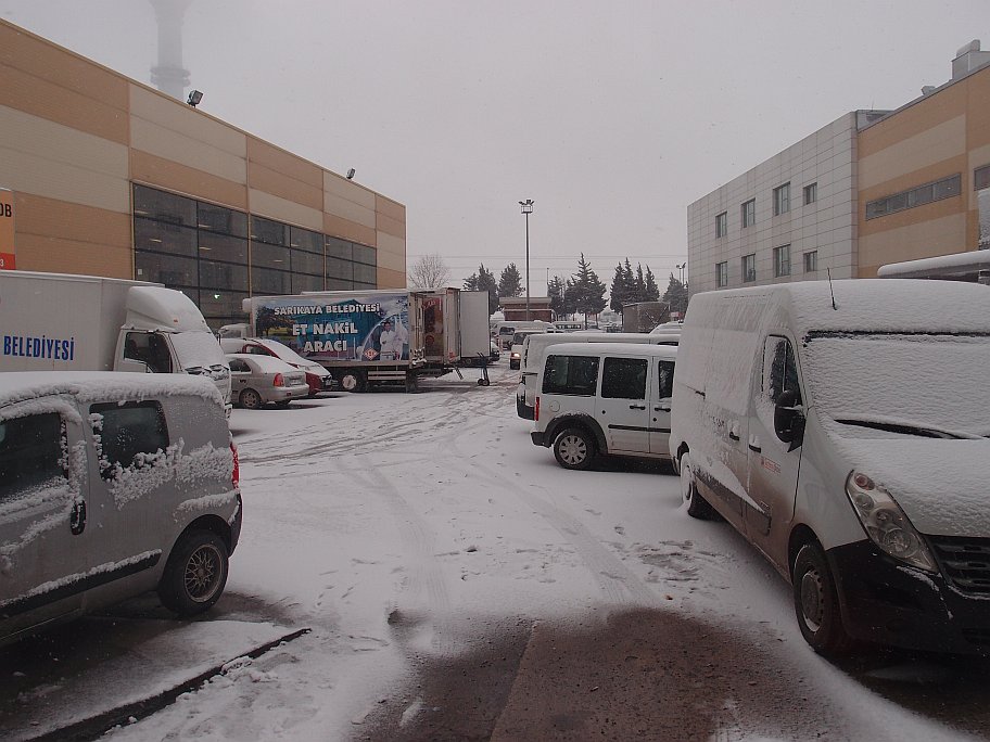 P1277215.jpg