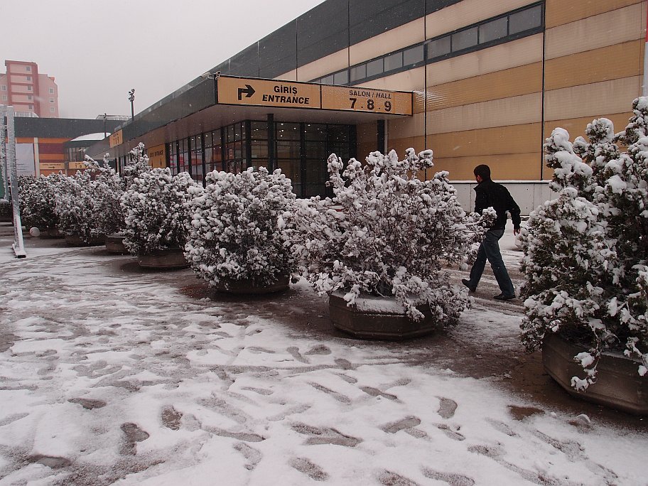 P1277219.jpg