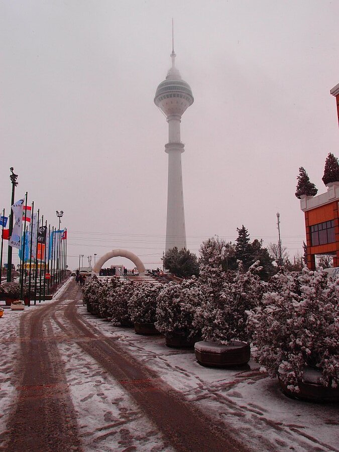 P1277222.jpg