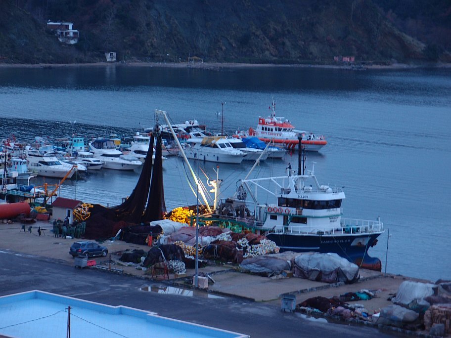 P2238208.jpg