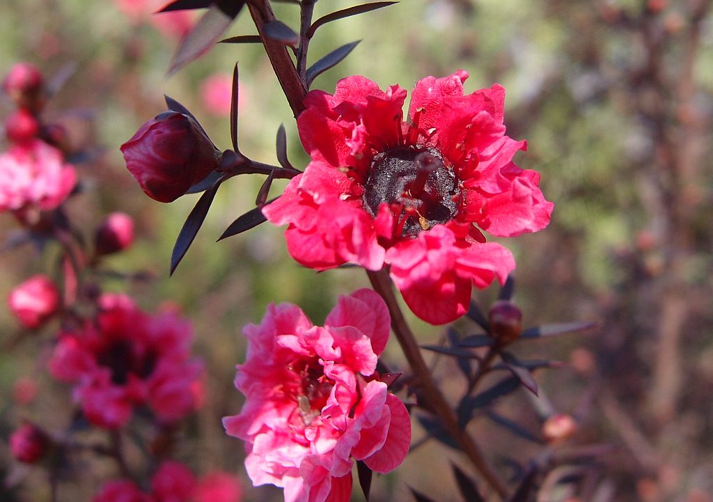 P3308987.jpg P3308987.jpg