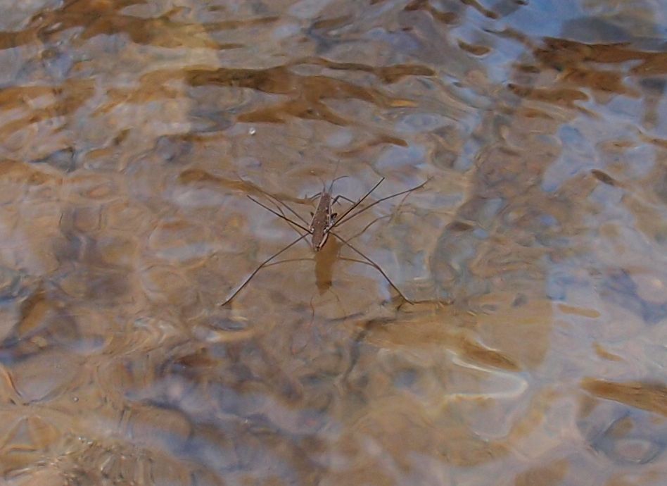 P4073531.jpg P4073531.jpg