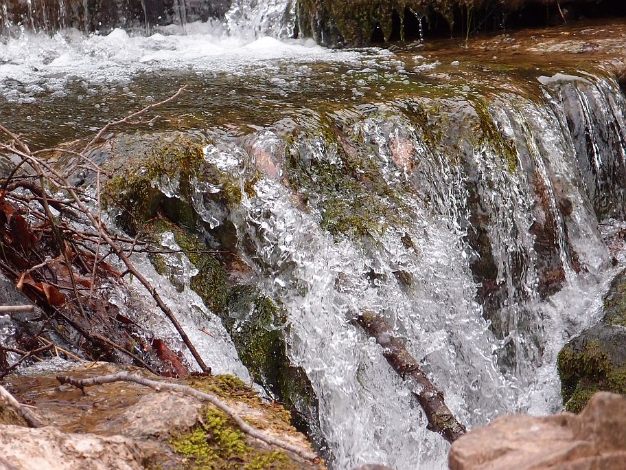 P4073546.jpg P4073546.jpg