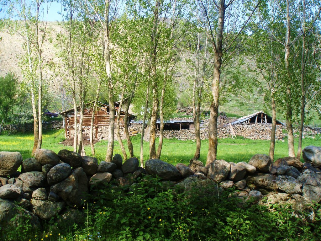 P5210209.JPG