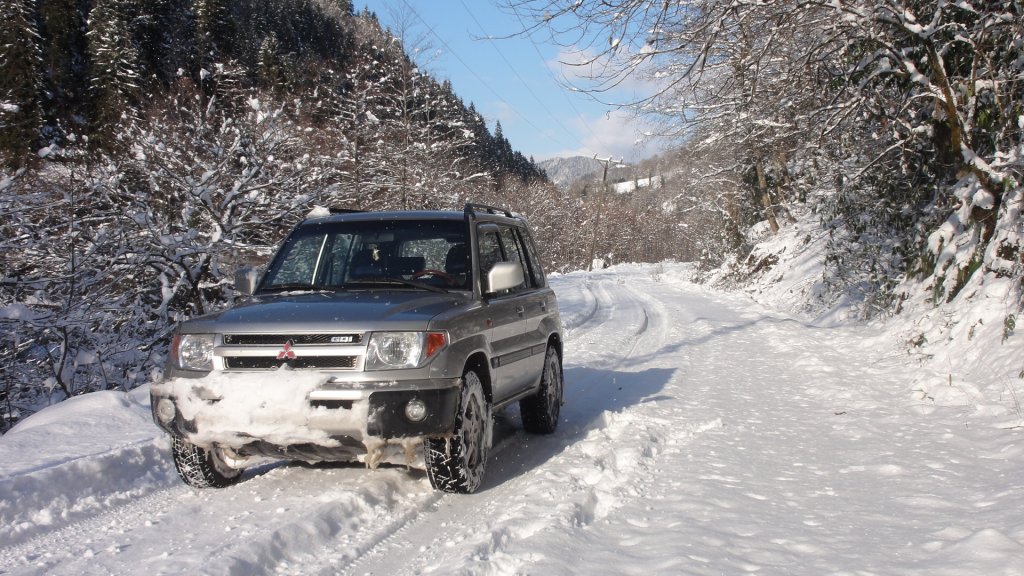 PAJERO PÃƒÂƒÃ‚Â„ÃƒÂ‚Ã‚Â°NÃƒÂƒÃ‚Â„ÃƒÂ‚Ã‚Â°N 260.jpg