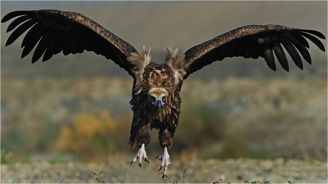 PANAROMÃƒÂƒÃ‚Â„ÃƒÂ‚Ã‚Â°K  KARA AKBABA ÃƒÂƒÃ‚Â„ÃƒÂ‚Ã‚Â°NÃƒÂƒÃ‚Â„ÃƒÂ‚Ã‚Â°ÃƒÂƒÃ‚Â…ÃƒÂ‚Ã‚Âž-2.jpg