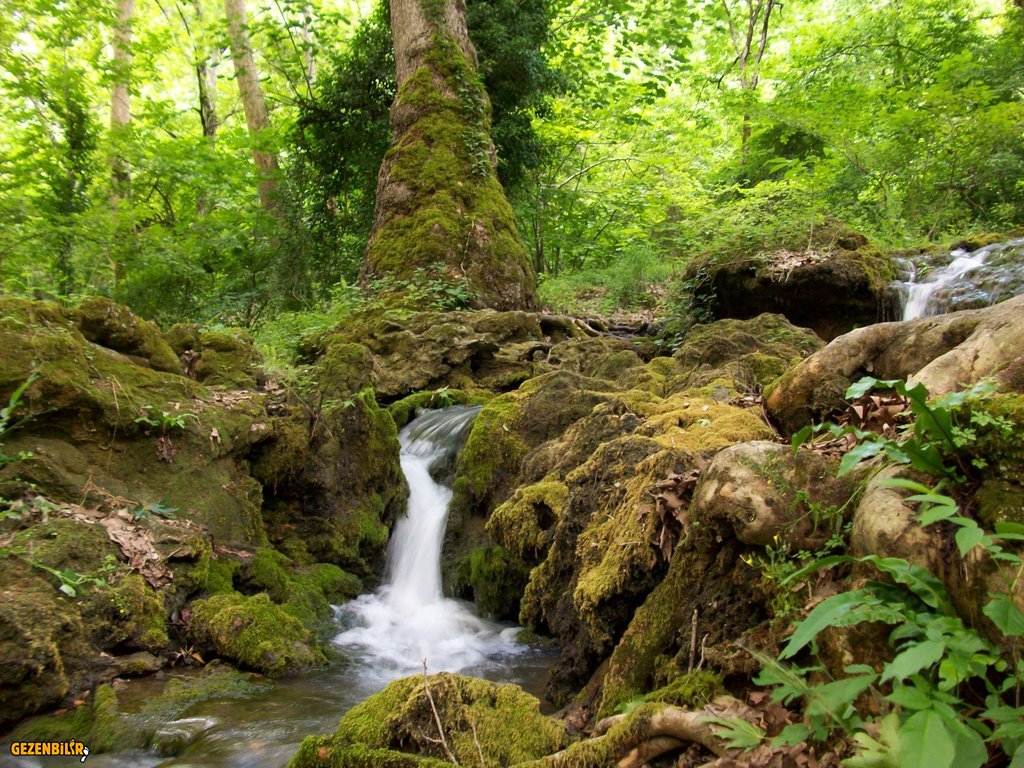 papazın_bahçesi.jpg papazın_bahçesi.jpg