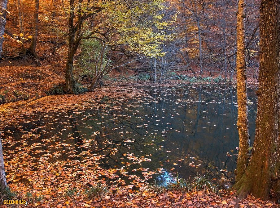 PB170229_30_31_tonemapped.jpg
