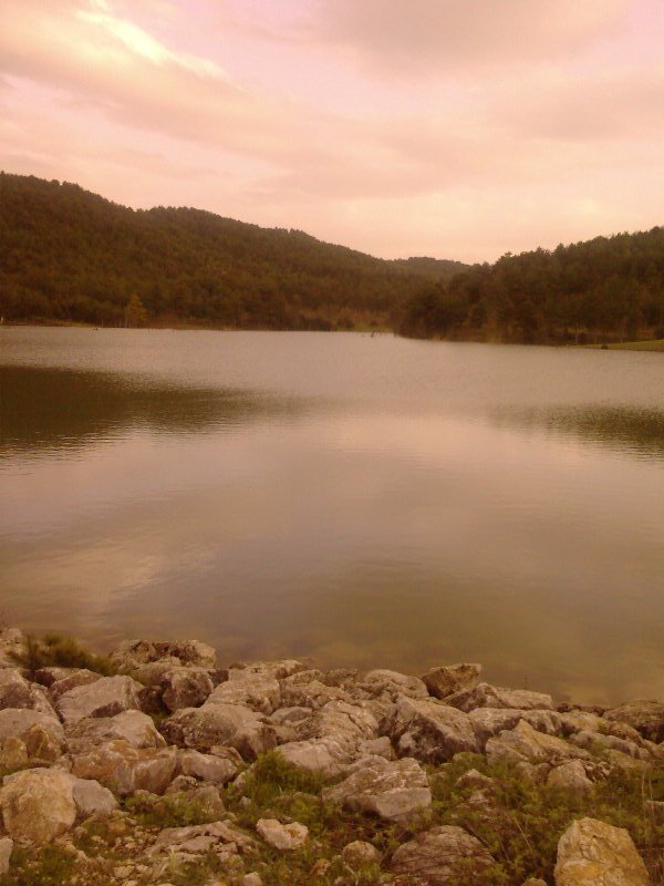 Photo-0076.jpg