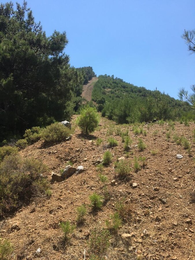 PHOTO-2020-07-25-13-11-56 (1).jpg