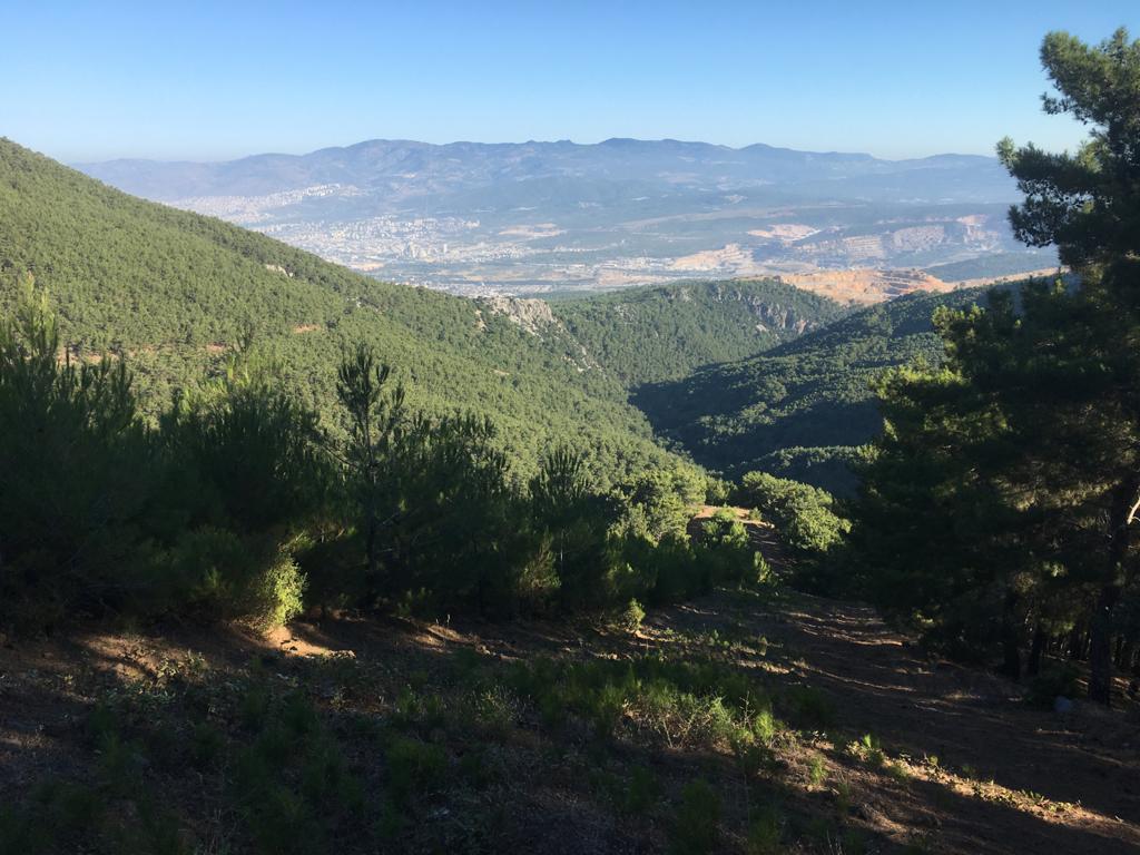 PHOTO-2020-07-26-12-03-35 (1).jpg