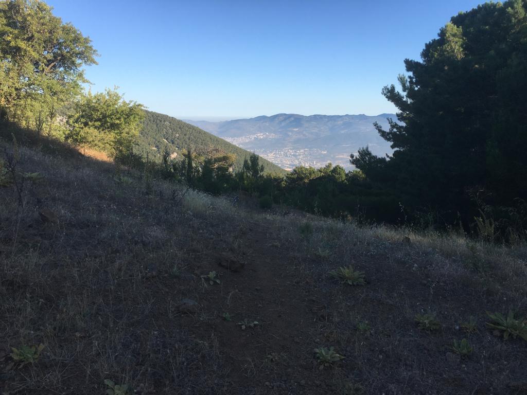 PHOTO-2020-07-26-12-03-35 (2).jpg