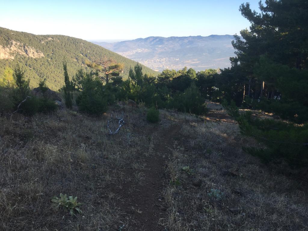 PHOTO-2020-07-26-12-03-35 (3).jpg