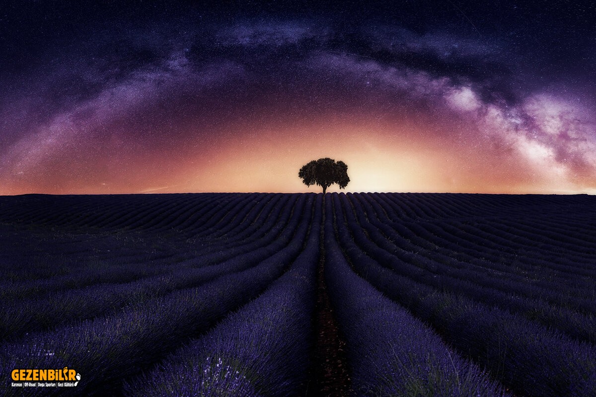 photo-wallpaper-my-lavander_big01.jpg