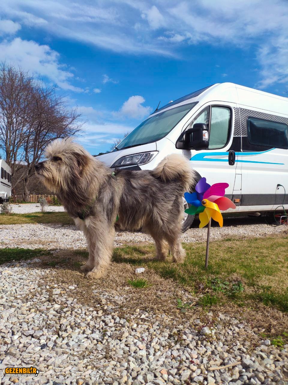 photo_2023-02-21_16-37-09.jpg photo_2023-02-21_16-37-09.jpg