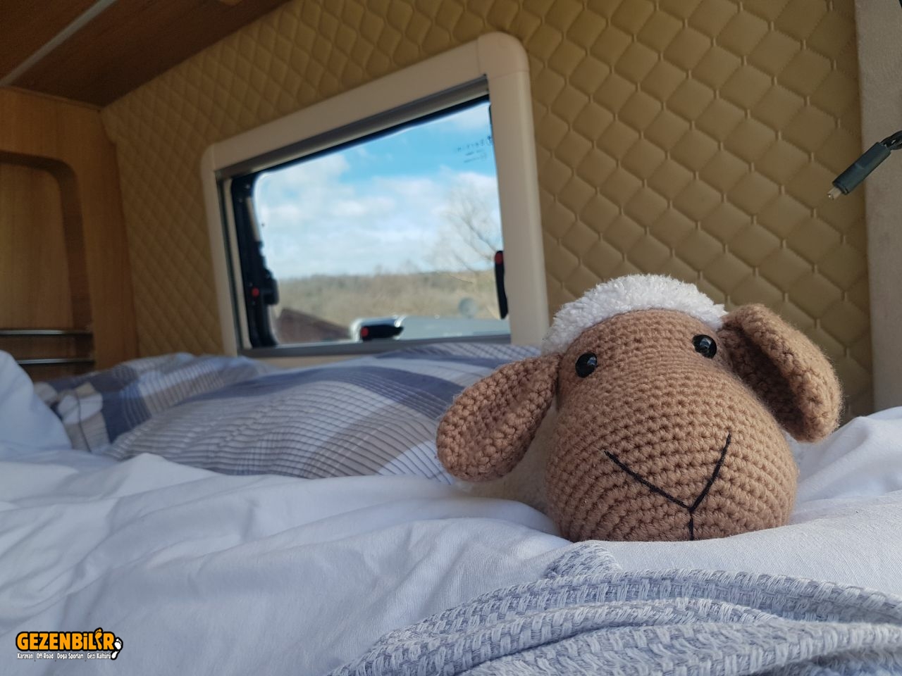 photo_2023-02-21_16-37-17.jpg photo_2023-02-21_16-37-17.jpg