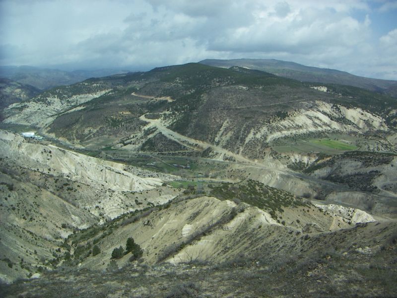 PICT0515.jpg