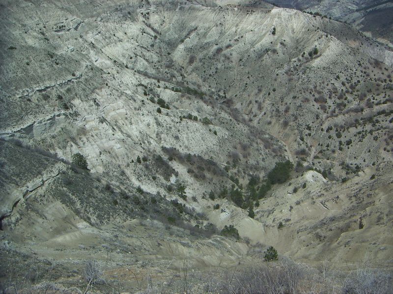 PICT0520_resize.jpg