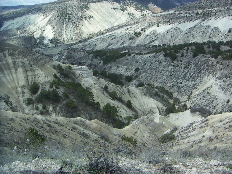 PICT0525_resize.jpg
