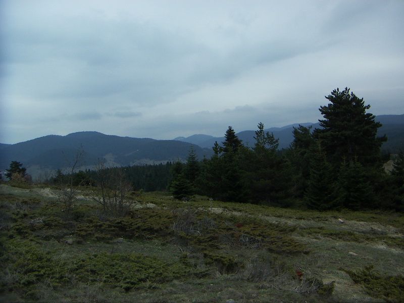PICT0570_resize.jpg