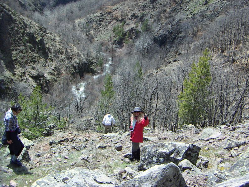 PICT0609.jpg